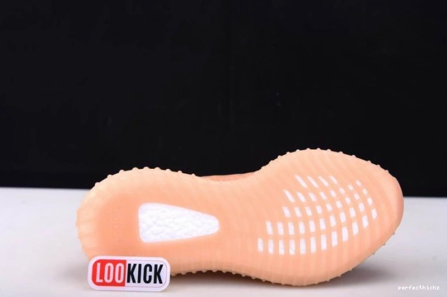 Yeezy Boost GW2870 
